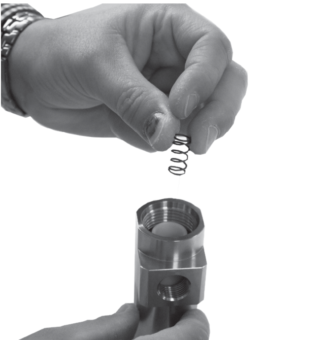 step 4 reomve spring